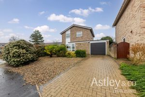 front- click for photo gallery